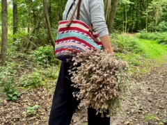 Friedrichshof - Wandern in der Natur