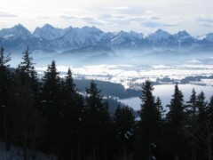 Allgaeu Buching